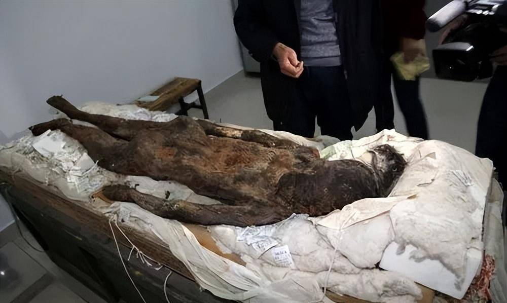 契丹族消失之谜:150万契丹人人间蒸发,一封信件,终于揭开谜团_海东