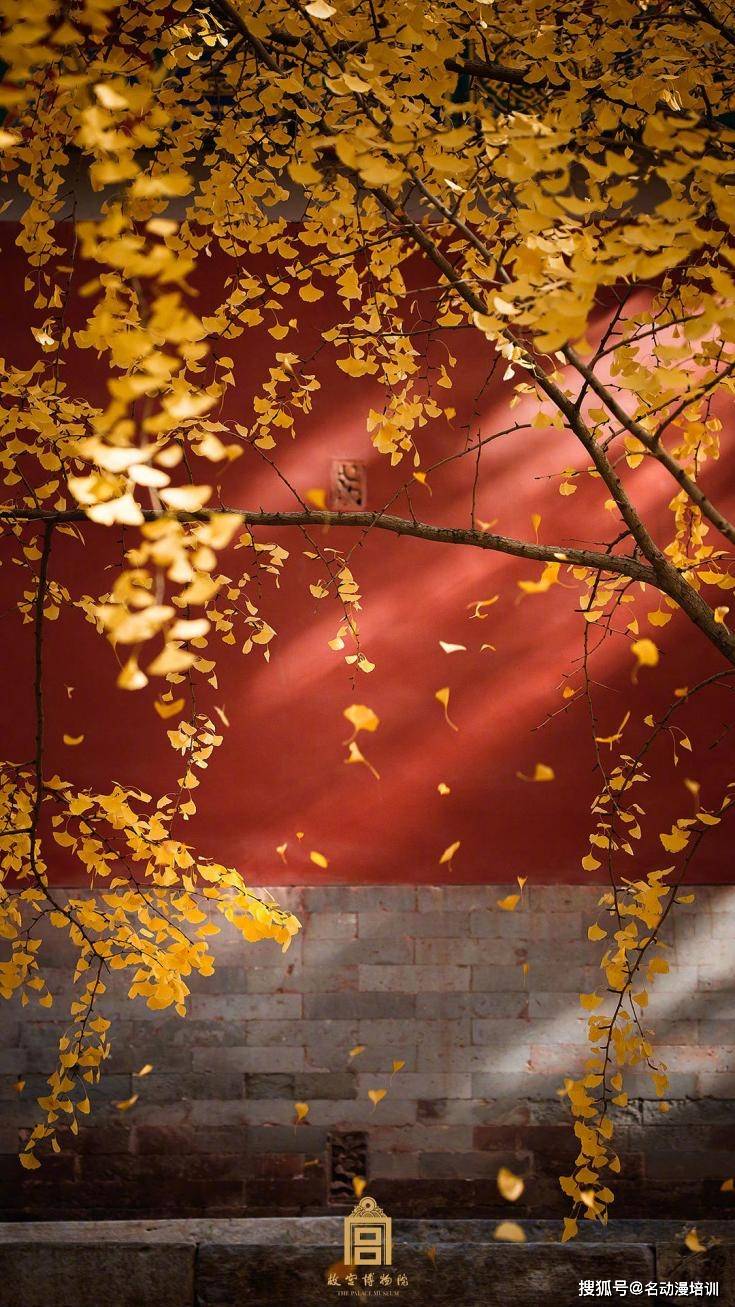 你的古风插画或许缺少了无幻老师的这几招