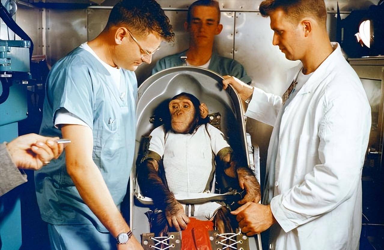 前苏联泯灭人性的实验:试图把人类和黑猩猩结合,过程有多疯狂?