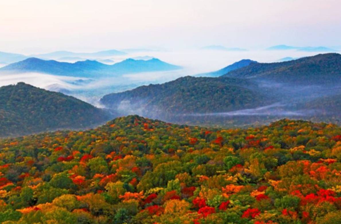 黑龙江不止"龙江",还有诸多"龙山", 金秋十月都变成了五花山,秋色迷人