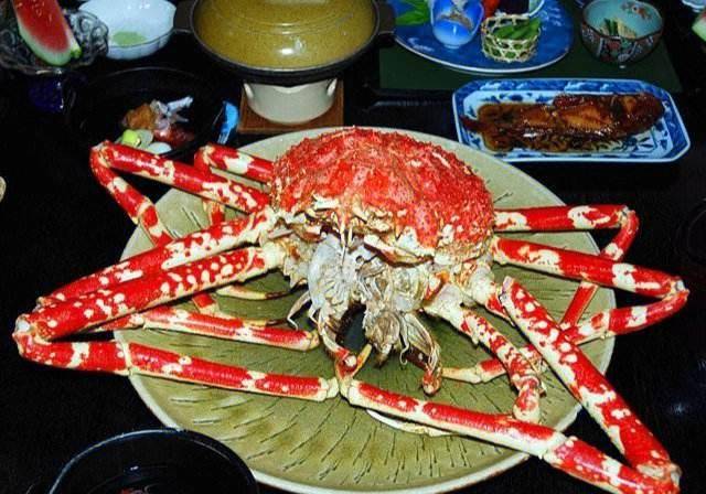 揭秘世界上最危险的螃蟹排行榜_爪子_玻璃_危险性