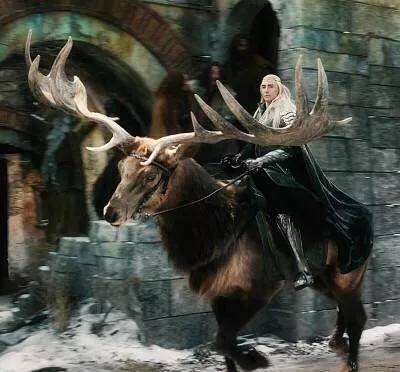 说起鹿骑兵,很多人脑海第一印象会浮现出《指环王》中精灵首领.