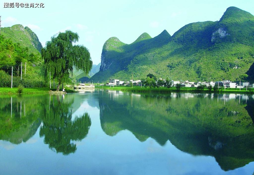 81年属鸡招财风景图片图片