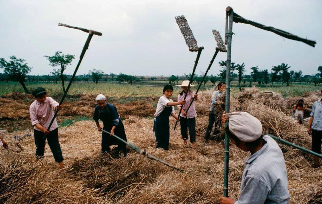 法国人拍摄的1980年中国人:笑容淳朴,贫富差距小,图9你也做过_农村