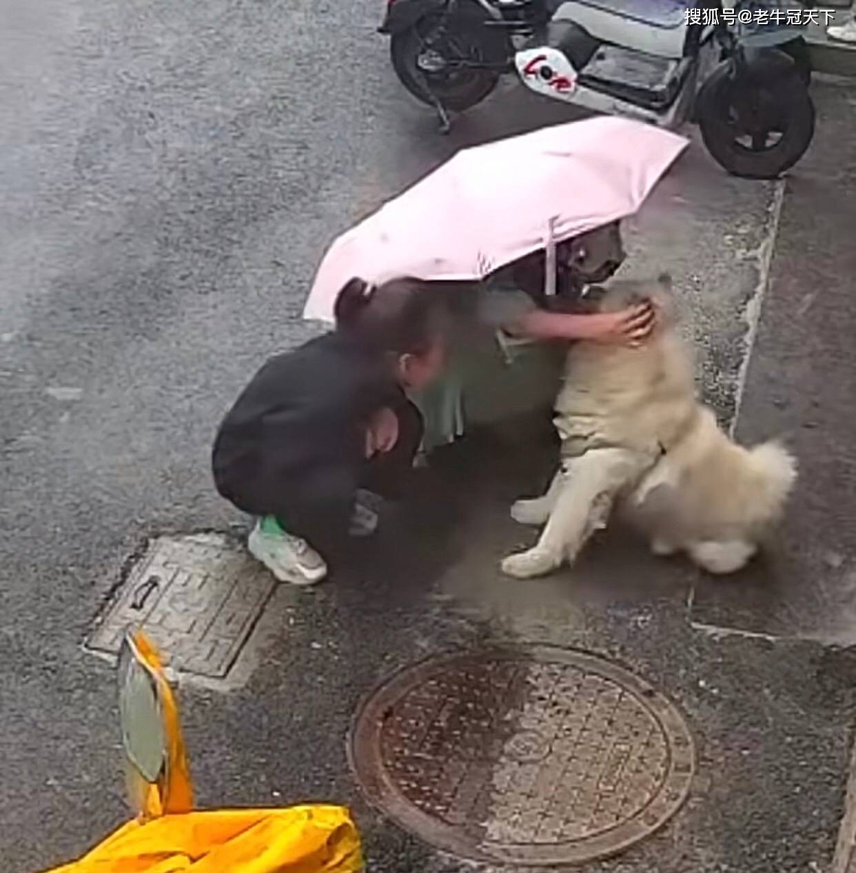 江苏盐城一女子路边摸陌生狗狗,被咬得面目全非,脸部几近毁容,真是悔