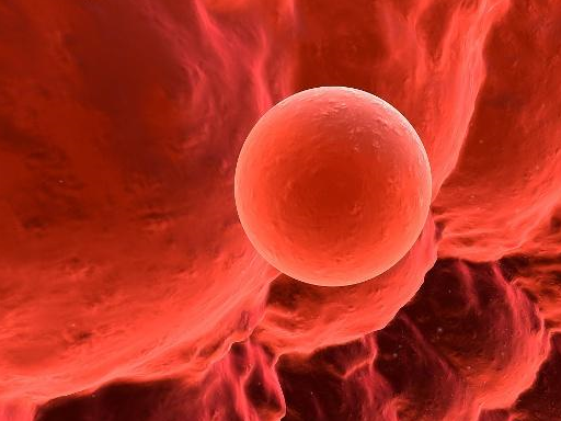 女性_检测_分泌物