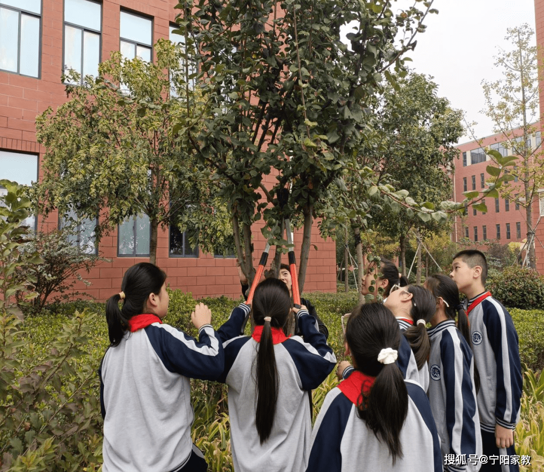 【全环境立德树人】宁阳县洸河学校劳动教育课程之绿植修剪_活动_校园