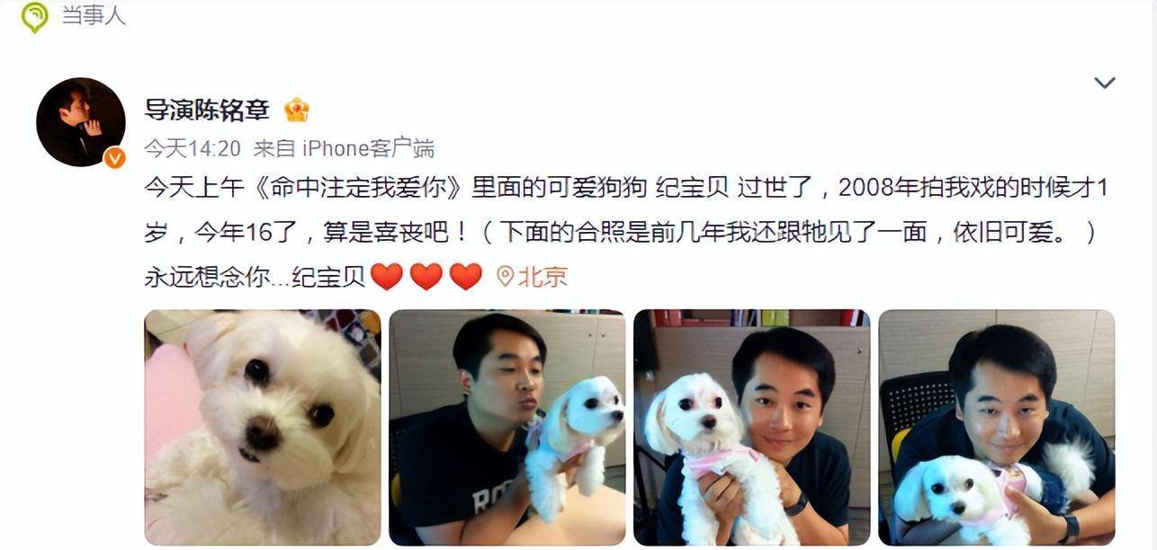 YouTube, image size:1286x612