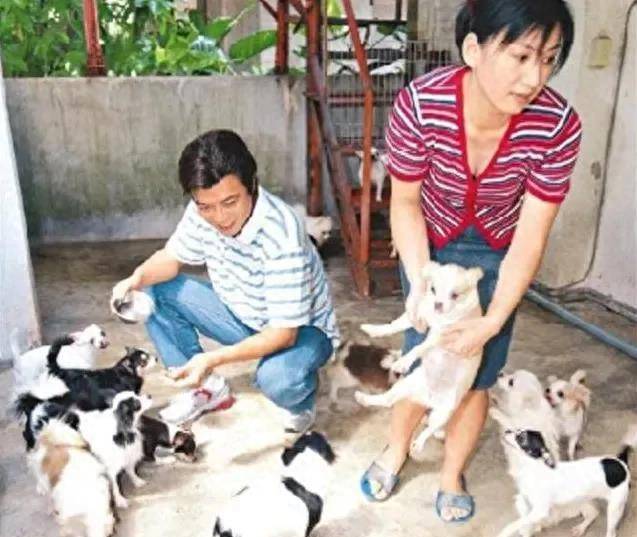 一家四口生活幸福.张佩华喜欢狗,他的妻子也像他一样喜欢狗.