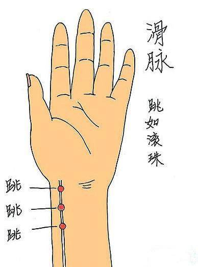 古代中医是如何摸出"喜脉"的?方法很简单,一看就会_脉象_女子_血脉