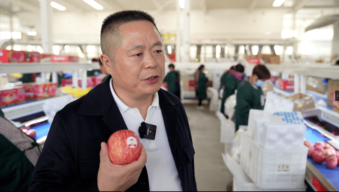 绿萌:亚洲最大的国产数字智能苹果分选中心投入使用_产业_王掌柜_发展