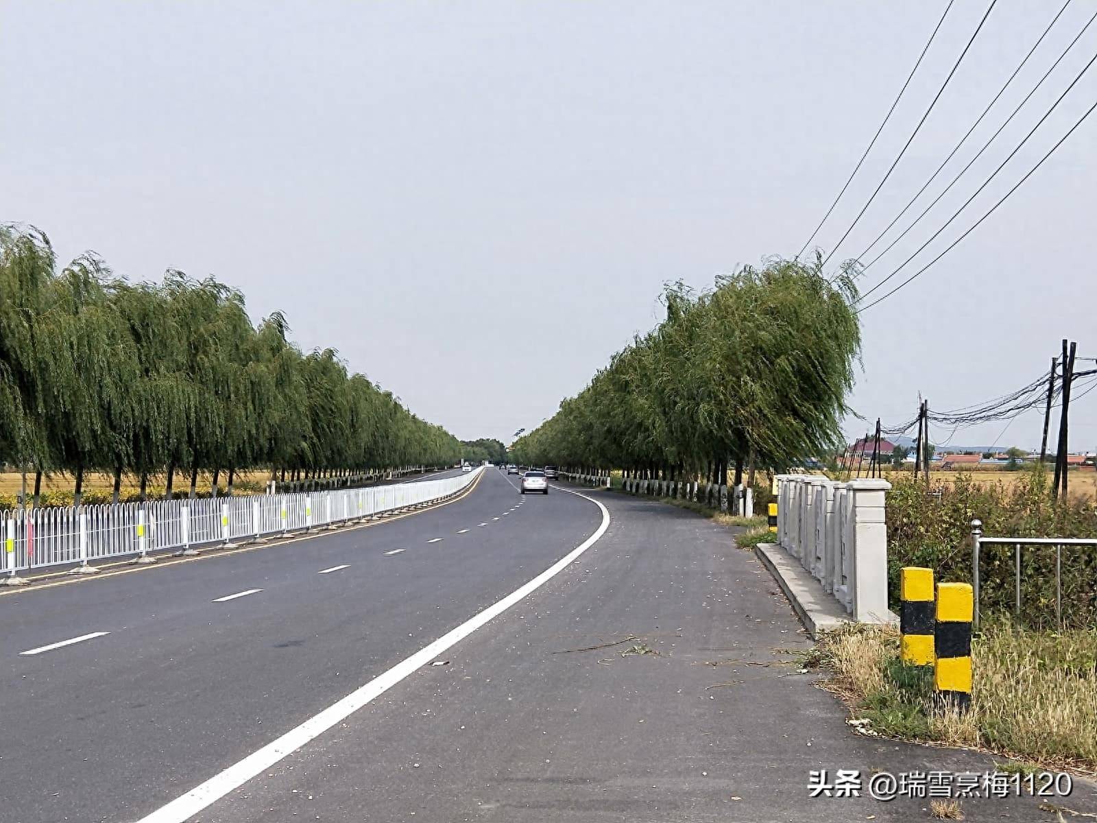 黄河北大街图片