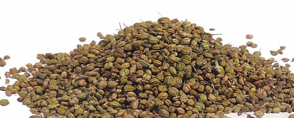 这三种新手朋友不常用的香料,助力麻辣麻舌口感裨益不少,了解下_良姜