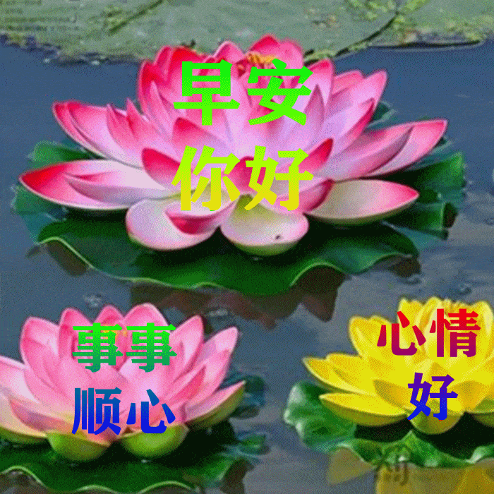 9张暖心早上好问候动态表情图片带字带祝福语 秋日清晨早安问候祝福语简短语句