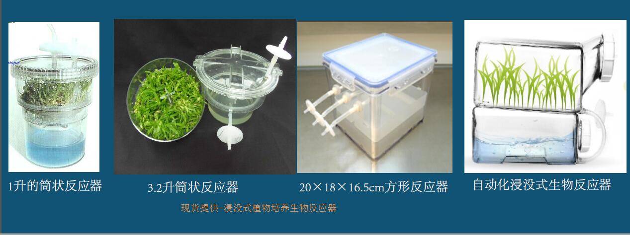 法国rita浸没式植物培养生物反应器_植株_再生_动力