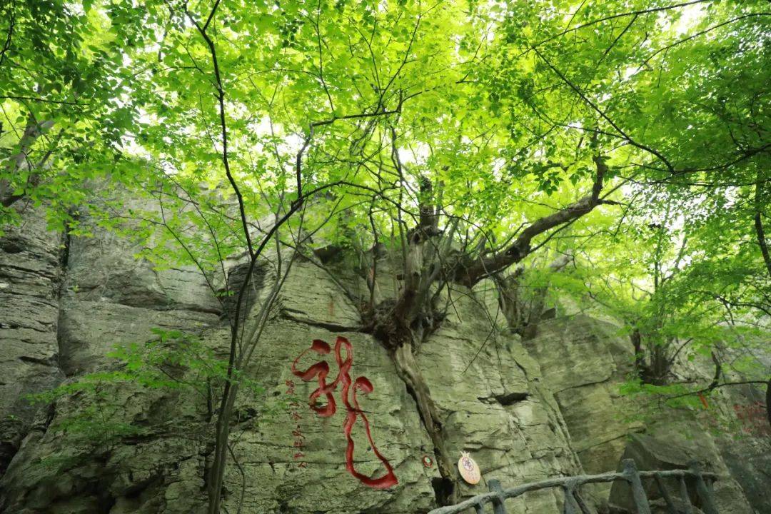 秋天,一定要去趟峄城青檀寺!_秋色_色彩_峡谷