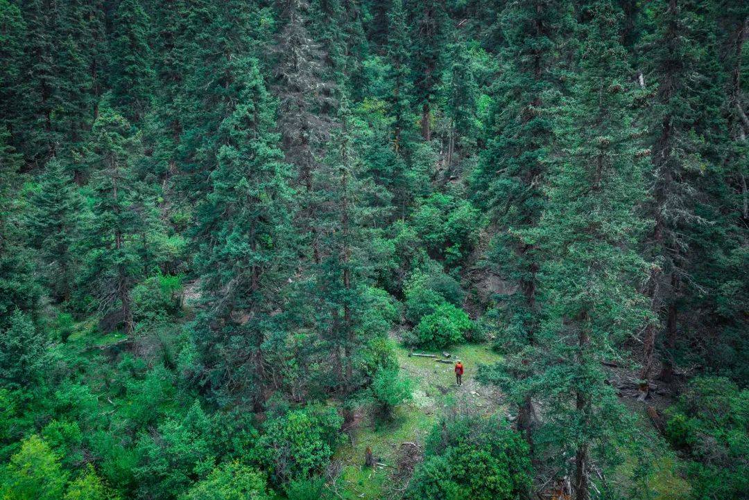 探险的无穷乐趣无不让人感受到旅途中的收获与惊喜「文化遗迹」保泰题