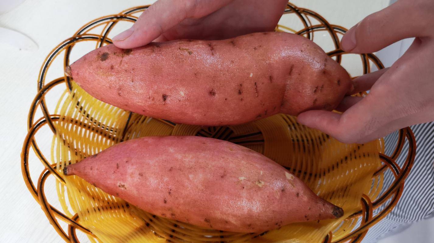 红薯发芽了还能吃吗?