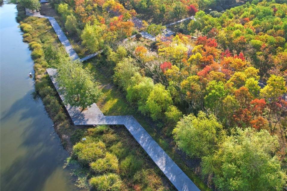 寻景婺城 白沙溪畔正演绎着秋日醉人景色_风景区_文化_秋色
