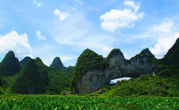 出游广西桂林平乐县,这几个不错的旅游景点你去过吗?_古榕_文化_千年