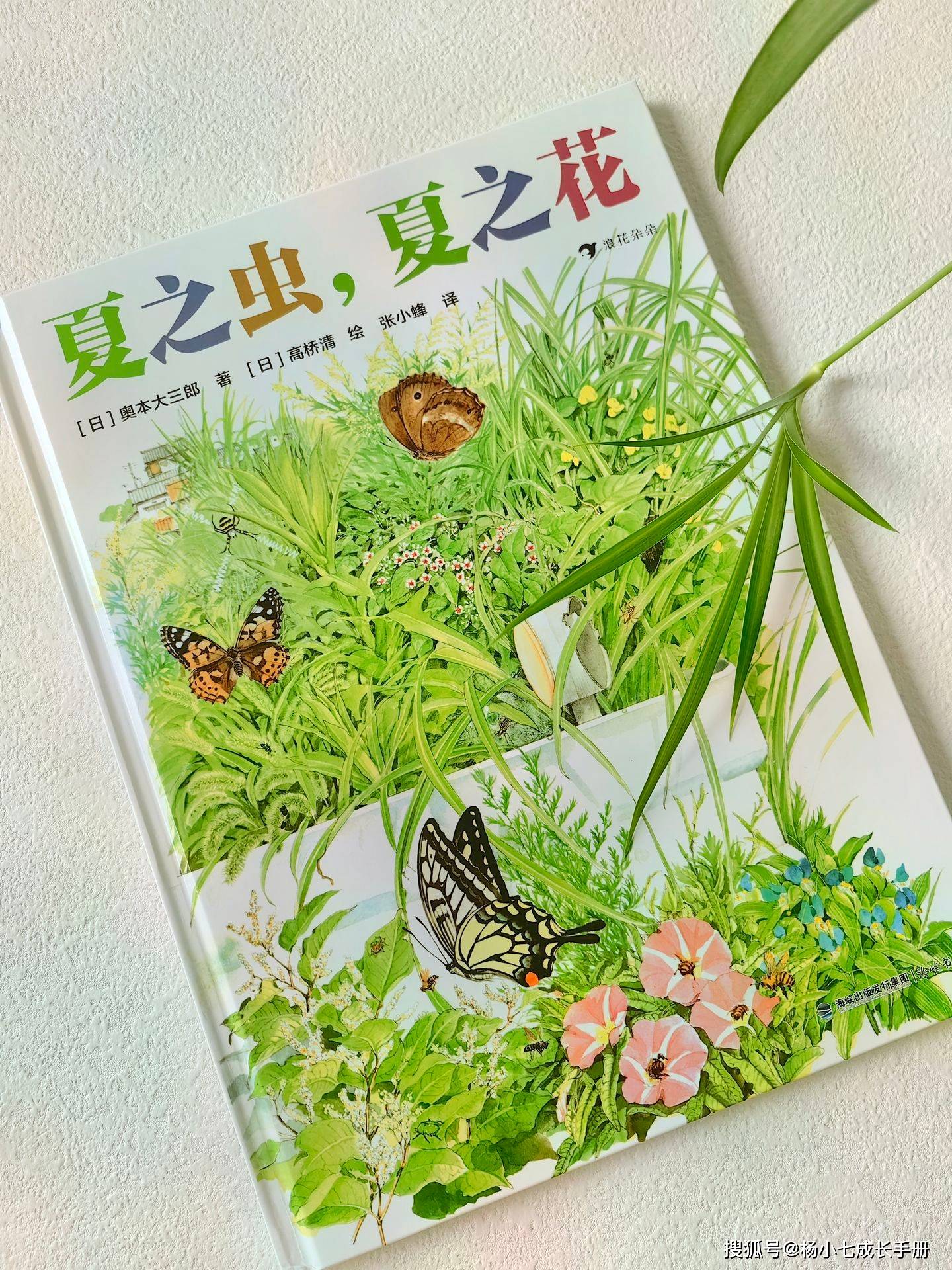 冠翔泉旅湯屋開箱】泉境SPA全新改裝，在綠色植栽建築內，以美人湯卸下疲憊- TISS玩味食尚, image size:1440x1920