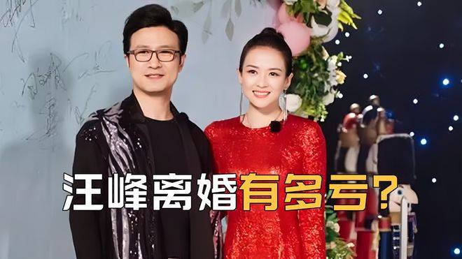 得被章子怡分走大笔财产,孩子抚养费还得按月给_夫妻_收入_利益