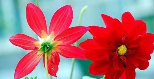 勤俭持家的人,命格,有什么特征_自律_家庭_生活