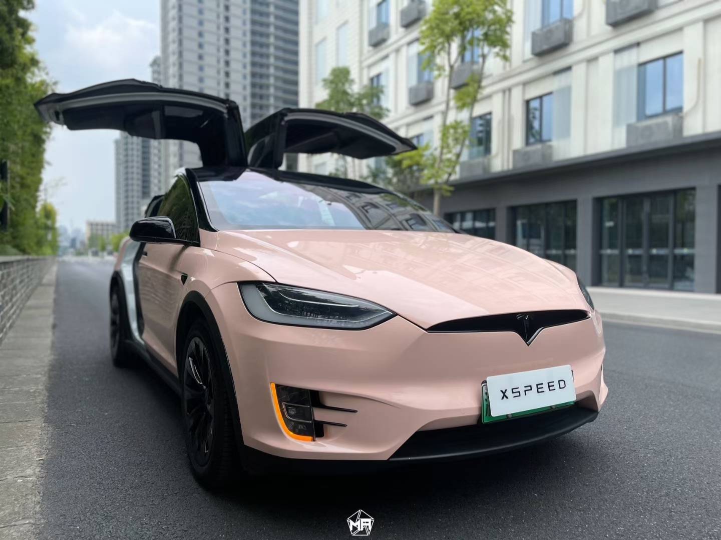 特斯拉modelx矩阵改色膜贝壳粉,在日落下显得更加梦幻_海滩_案例