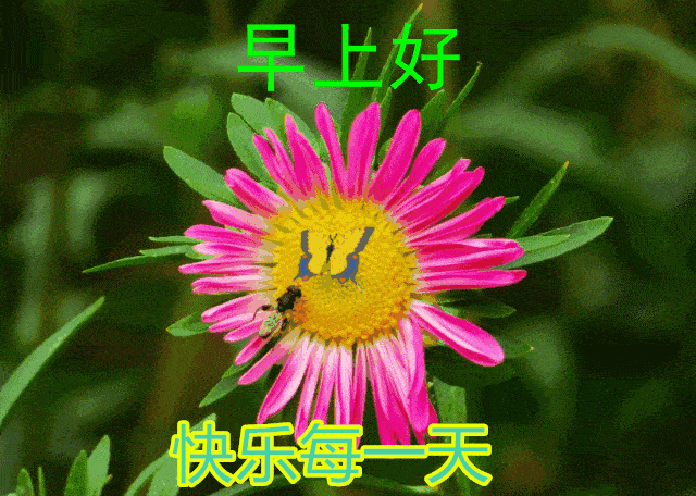 10月29日秋季早安问候祝福语图片大全带字