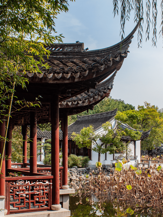 不知道古漪园怎么逛最合适,一篇给你讲明白_园林_景点_植物