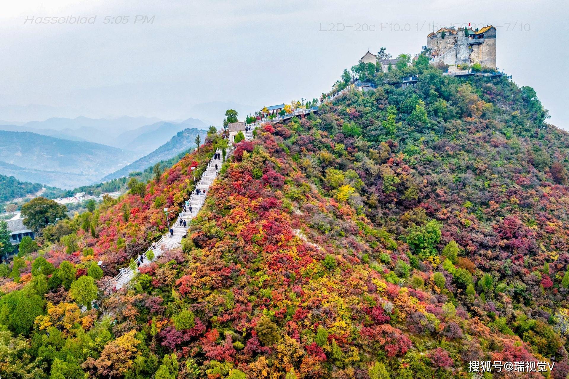 柏尖山:秋色斑斓,红叶醉游人丨河南安阳林州