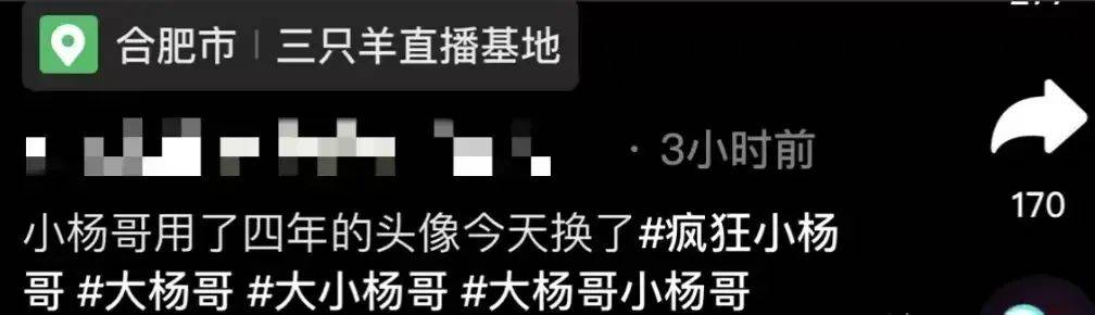 疯狂小杨哥徒弟带货被指低俗,小杨哥连夜换头像公关