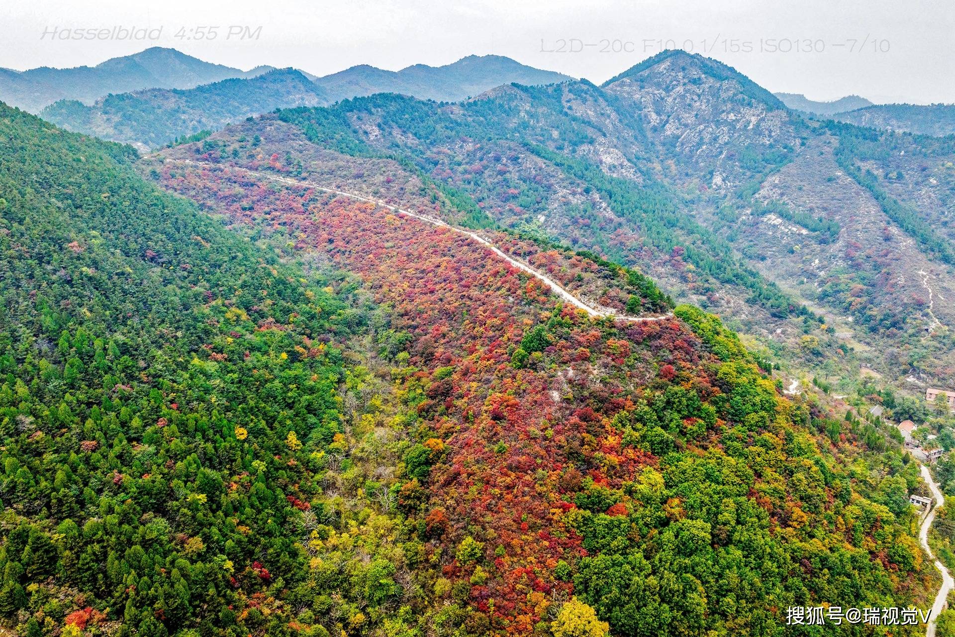 柏尖山:秋色斑斓,红叶醉游人丨河南安阳林州