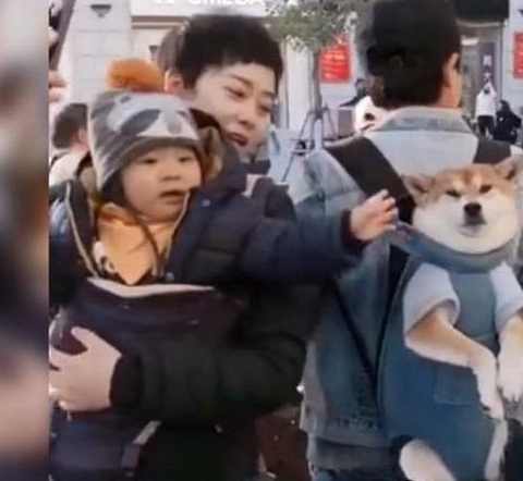 “爸，他扒拉我！”萌娃路遇宠物狗忍不住上手，狗子的表情太无辜 