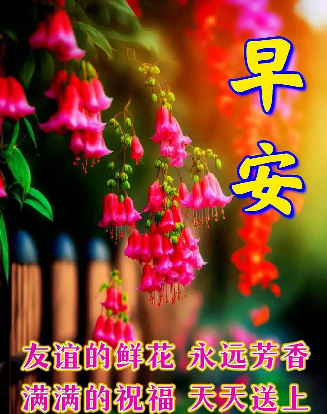 原创            10月30日星期一早上好，创意温馨的早安图片带字精选祝福语