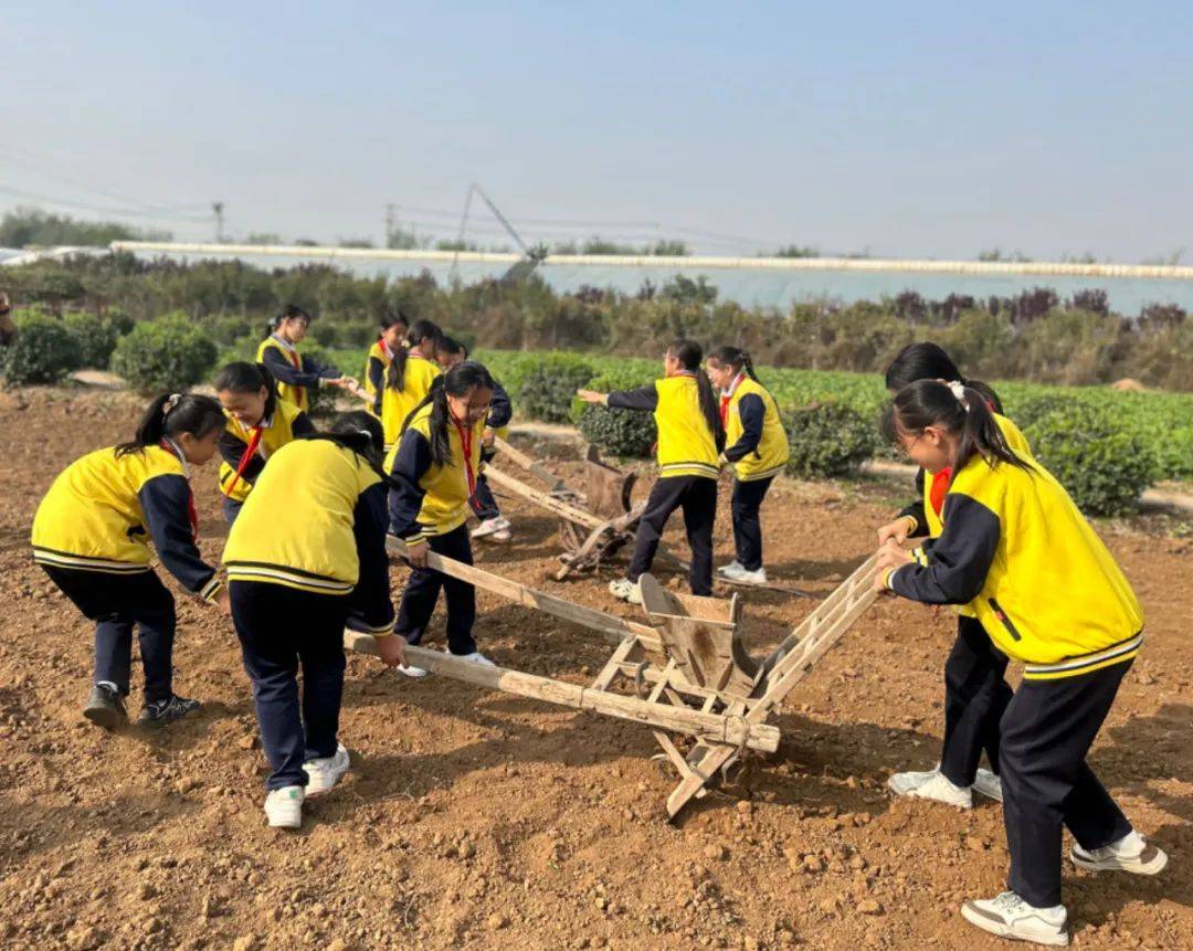 金谷研学促成长 五育融合励心智——长清区石麟小学金谷研学活动_草帽