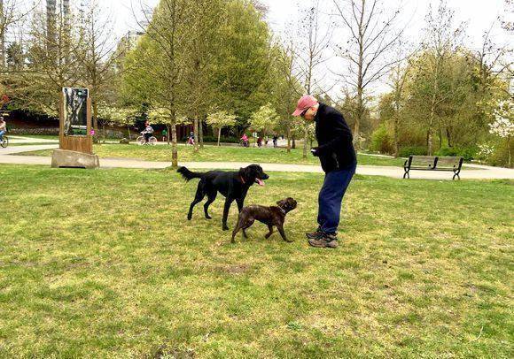 华裔男星第一人从小被遗弃演皇帝轰动世界老来遛狗_大陆_美国_经历