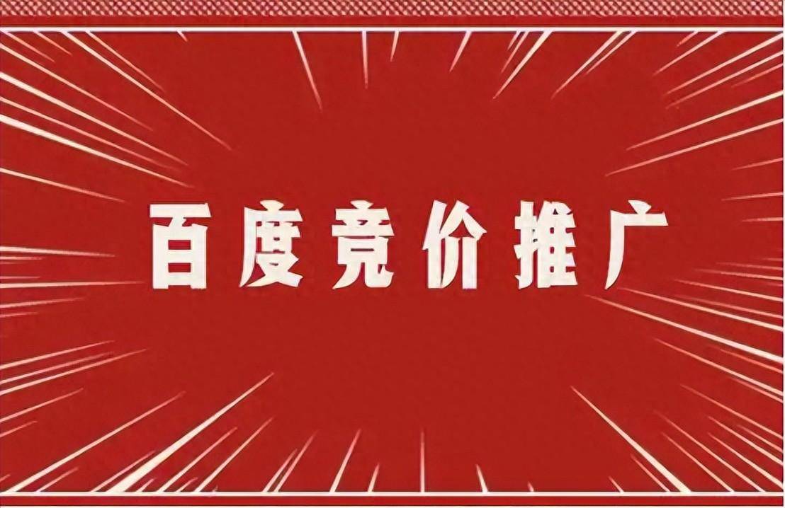 百度收录页面查询_收录查询页面百度怎么设置_查询百度收录的命令是