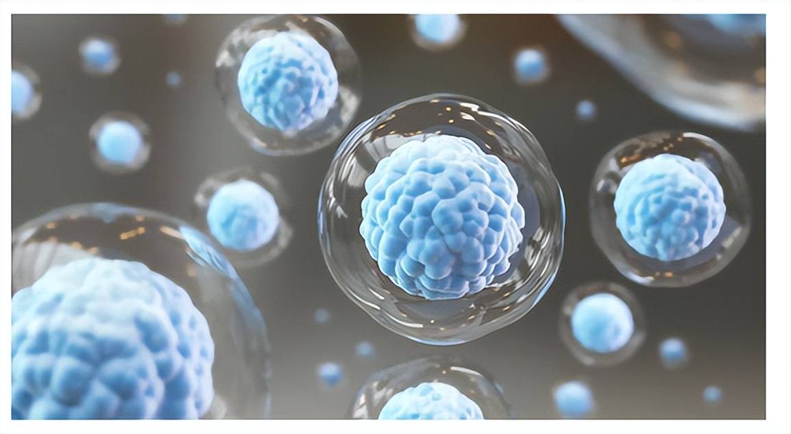 胚胎干细胞与成体干细胞有什么区别_能力强_相关_生物