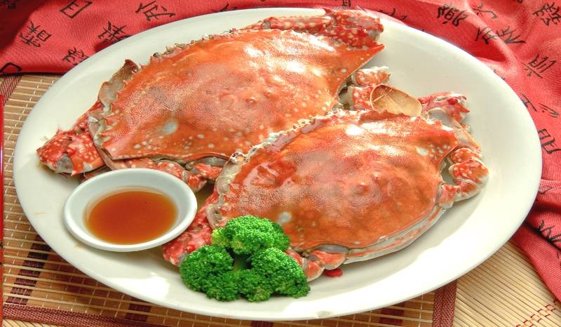 午餐推荐莱州新世纪大酒店梭子蟹,掖城人家精品羊汤,新世纪莱州羊汤