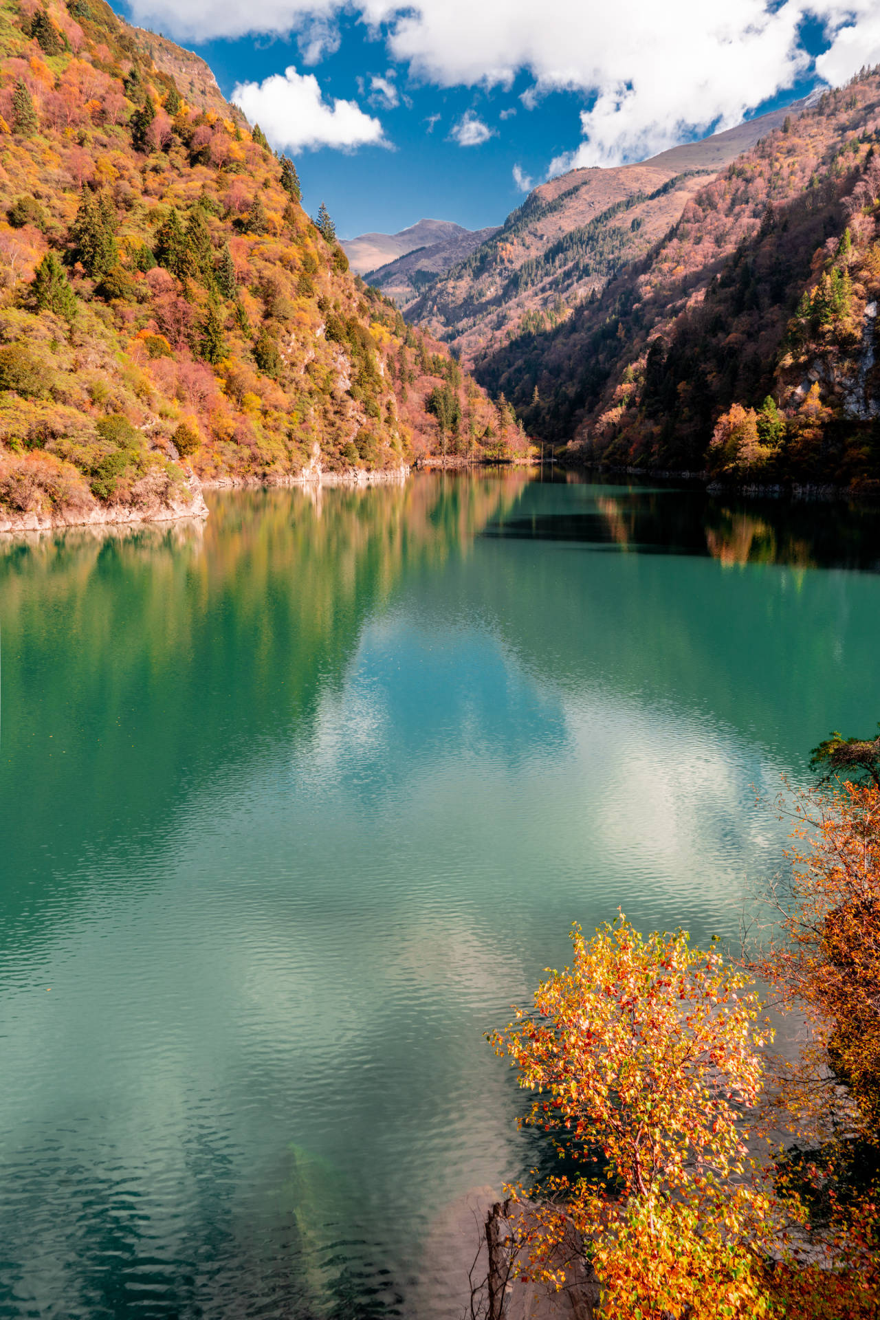 松坪沟红叶观赏指南,带你玩转秋季美景!_景区_摄影_游客