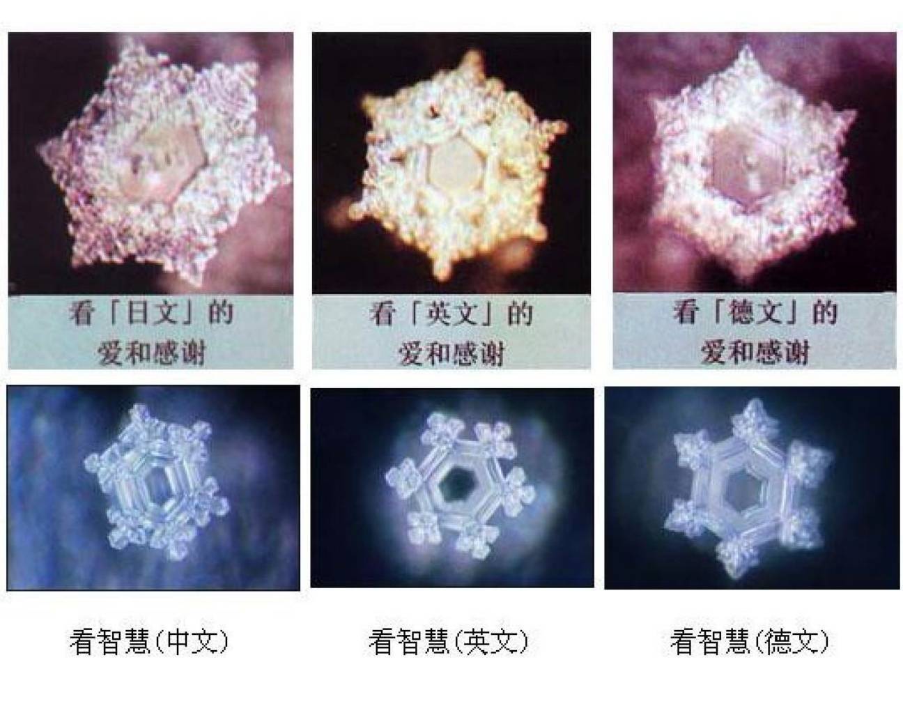 从水结晶图片演绎关于念力的若干根本问题