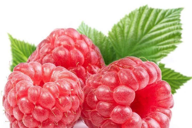 记忆力差的人,不妨多吃此果,改善记忆力,恢复体力,睡眠棒棒哒_覆盆子