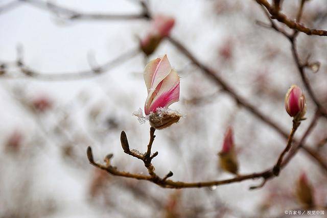 杜李:文学批评需保持独立的品格_作品_态度_变化