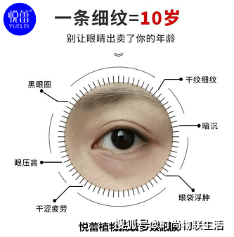 快速击退黑眼圈,悦蕾植物抗衰多效眼膜迅速改善眼部鱼