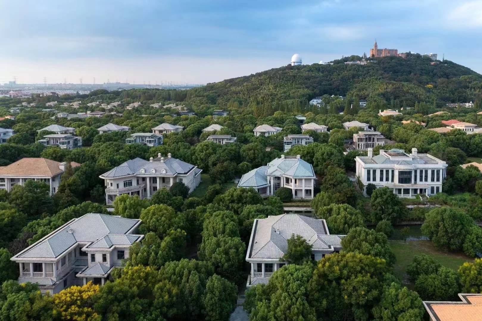 佘山独栋标杆—佘山紫园别墅—上海紫园 楼盘概况_豪宅_优惠_大厅