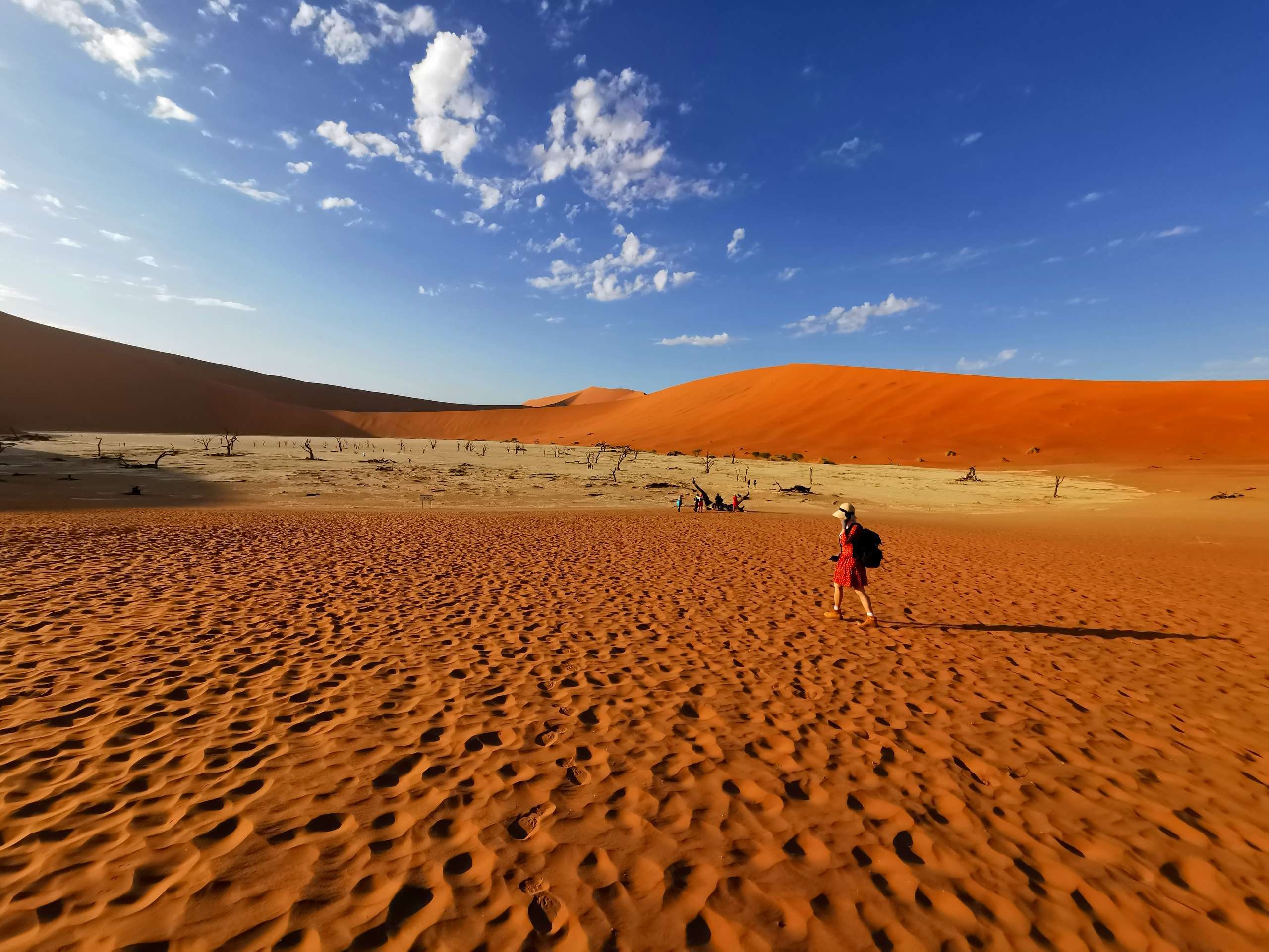 水上,徒步游猎,走进动物世界,史上最狂野路线_沙漠_营地_三角洲