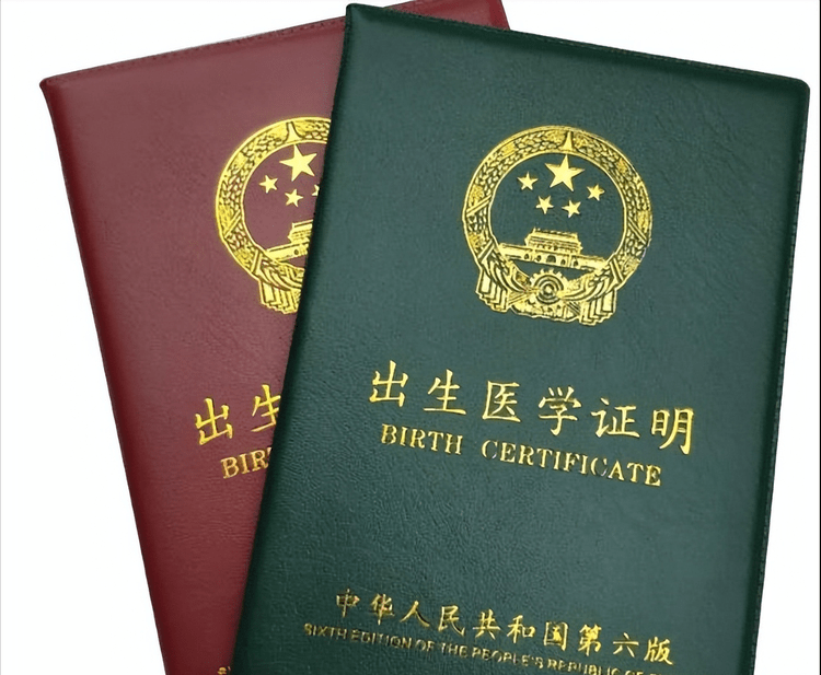 医院院长倒卖出生证明每张赚6万?_调查_孩子_成功