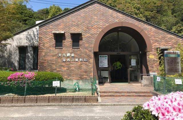 现在却因为兔子出名_野岛_大久岛_游客