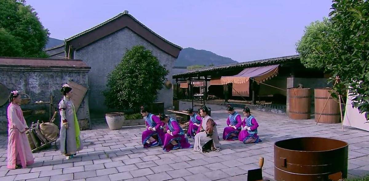 魏璎珞刷马桶,晴川干苦活,良妃洗衣服,进了辛者库,真这么惨吗_雍正